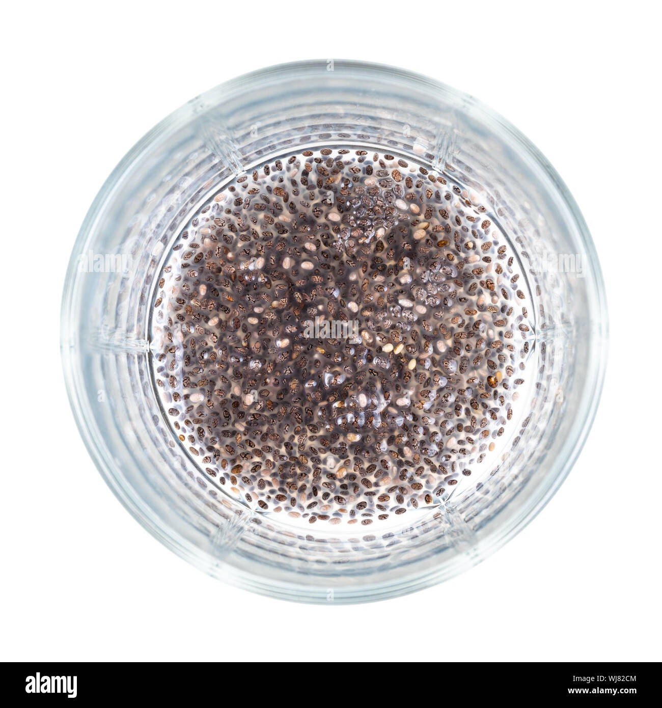 Blick von oben auf die Chia Samen absorbiert Wasser und Schleim Substanz an der Unterseite des Becherglas Ausschnitt auf weißem Hintergrund Stockfoto