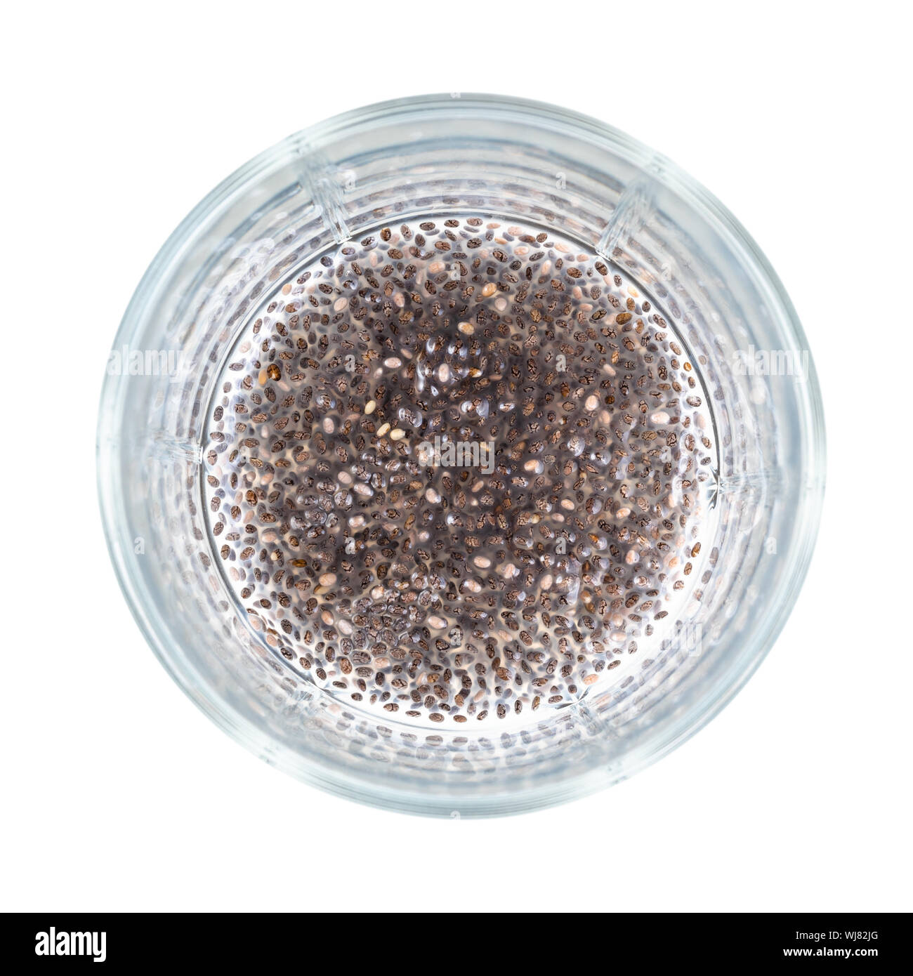 Blick von oben auf die Chia Samen absorbiert Wasser und trinken mit gallertartige Konsistenz an der Unterseite des Becherglas Ausschnitt auf weißem Hintergrund Stockfoto