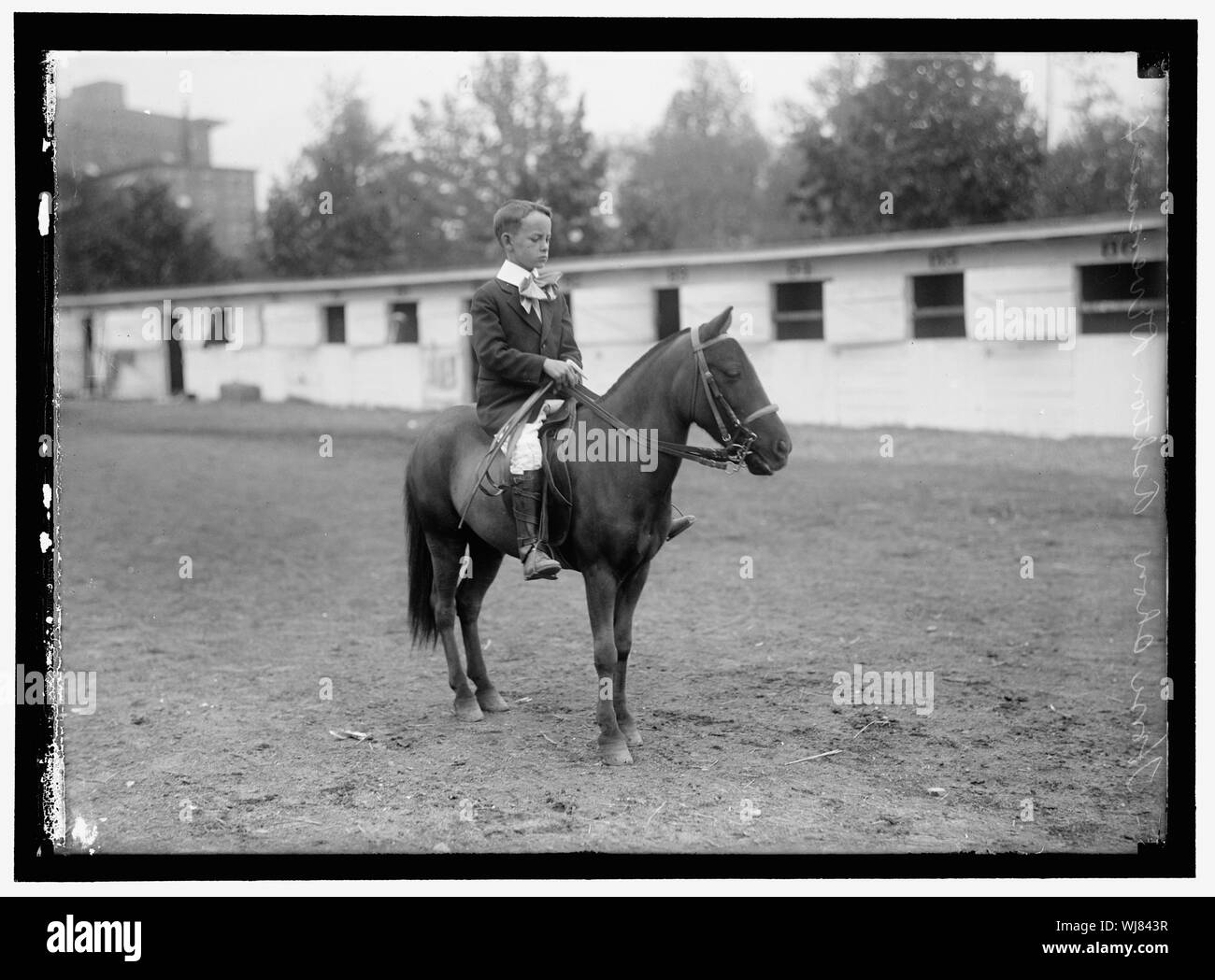 Pferd zeigt. ASHTON DEVEREAUX, Reiten PONY Stockfoto