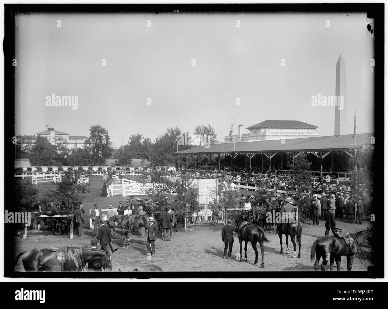 Pferd zeigt. Allgemeine Ansicht Stockfoto