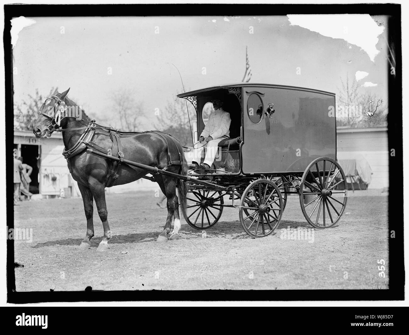 Pferd zeigt. Pferd und Wagen Stockfoto