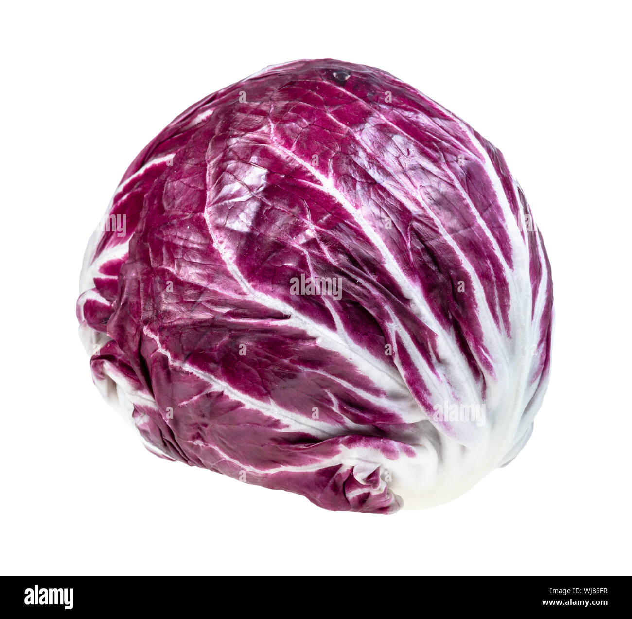 Roten Kopf Radicchio (Italienische Blatt Chicoree) Ausschnitt auf weißem Hintergrund Stockfoto