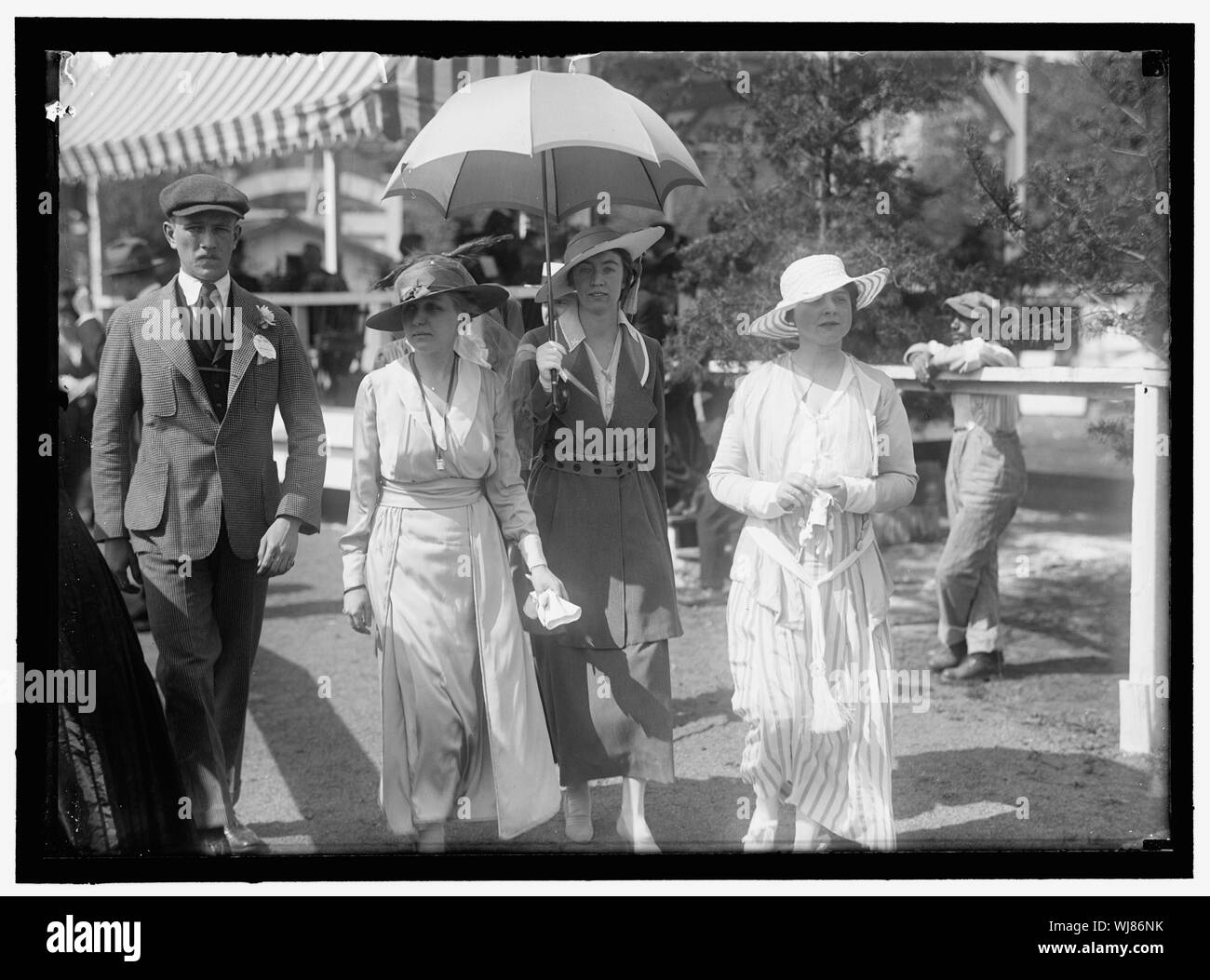 Pferd zeigt Stockfoto