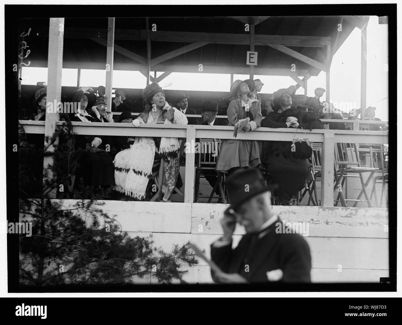 Pferd zeigt. MISC. VIEWS Stockfoto