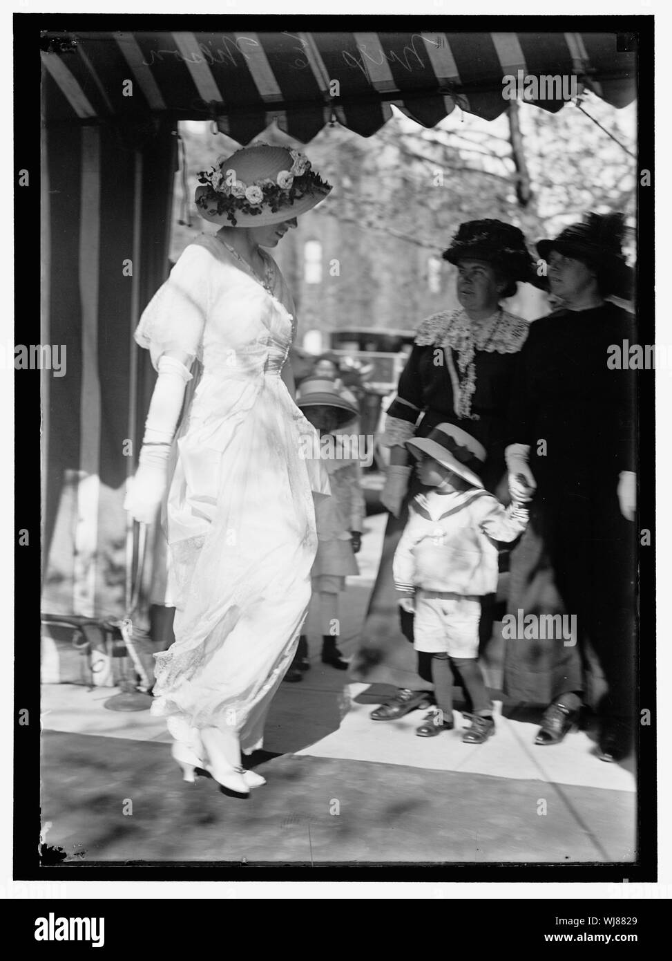 Pferd zeigt MISS ELEANOR WILSON Stockfoto