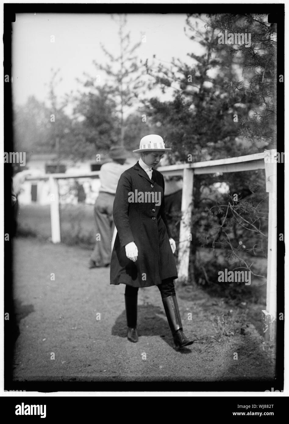 Pferd zeigt. MISS CATHARINE SCRIVEN Stockfoto