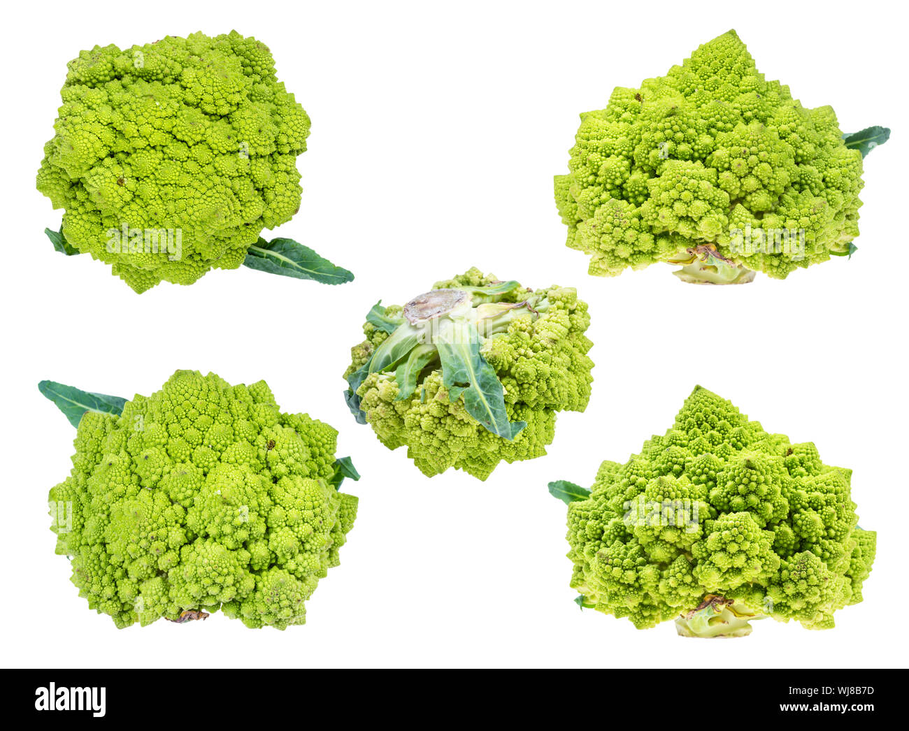 Verschiedene frische romanesco Brokkoli Köpfe Ausschneiden auf weißem Hintergrund Stockfoto