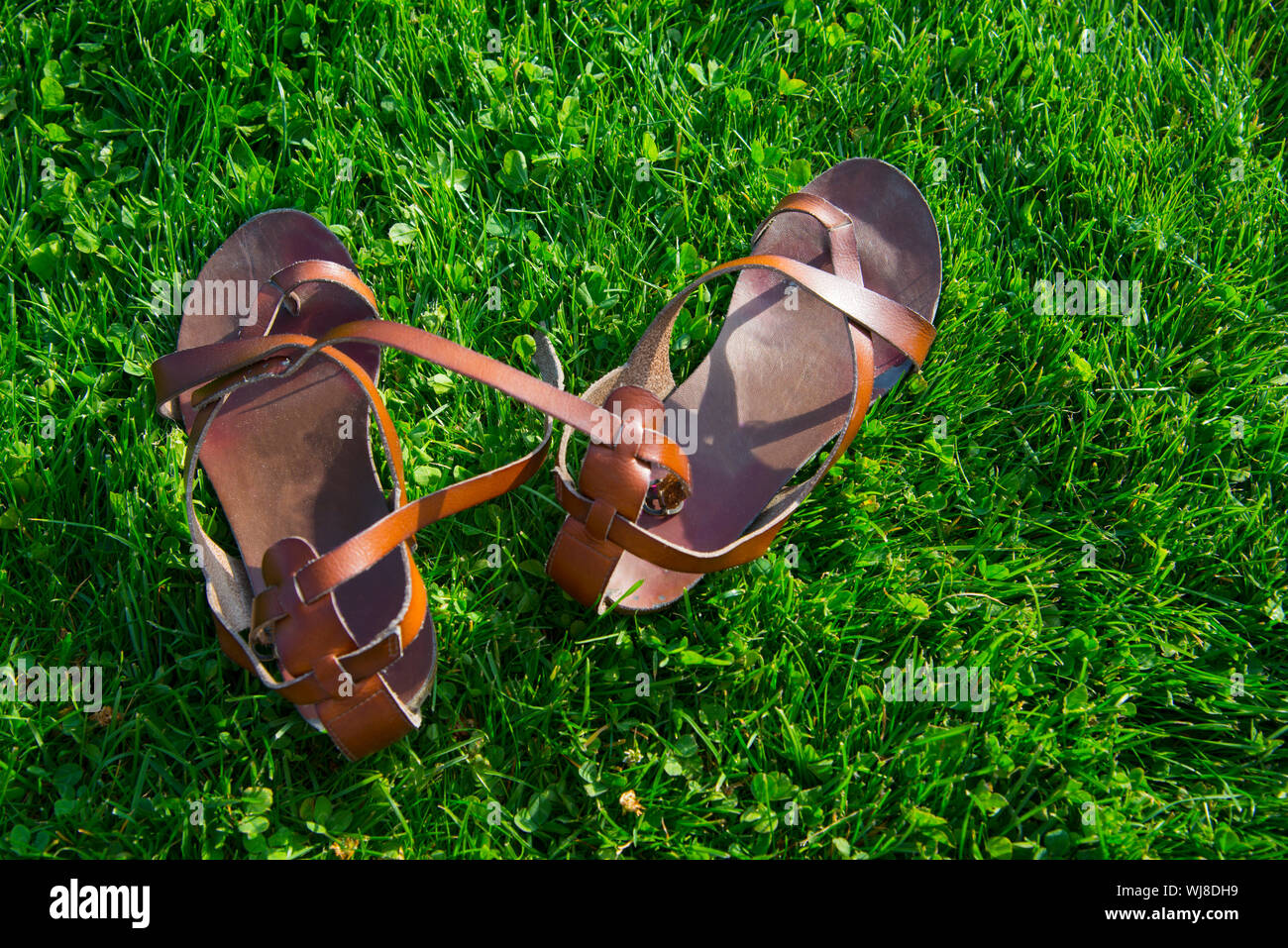 Paar Sandalen aus Leder auf dem Gras. Stockfoto