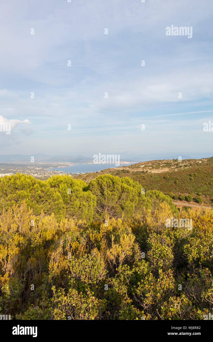 Panoramablick auf La Ciotat, Stadt an der Mittelmeerküste im Süden von Frankreich. Beliebtes Urlaubsziel an der Côte d'Azur, Europa Stockfoto