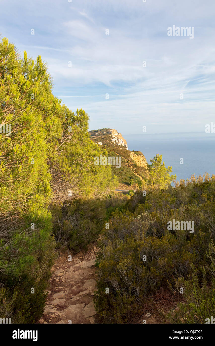 Cap Canaille höchste Steilklippe von Frankreich, ockerfarbenen Sandstein Landspitze auf der Mittelmeer Küste zwischen den Städten Cassis und La Ciotat Stockfoto