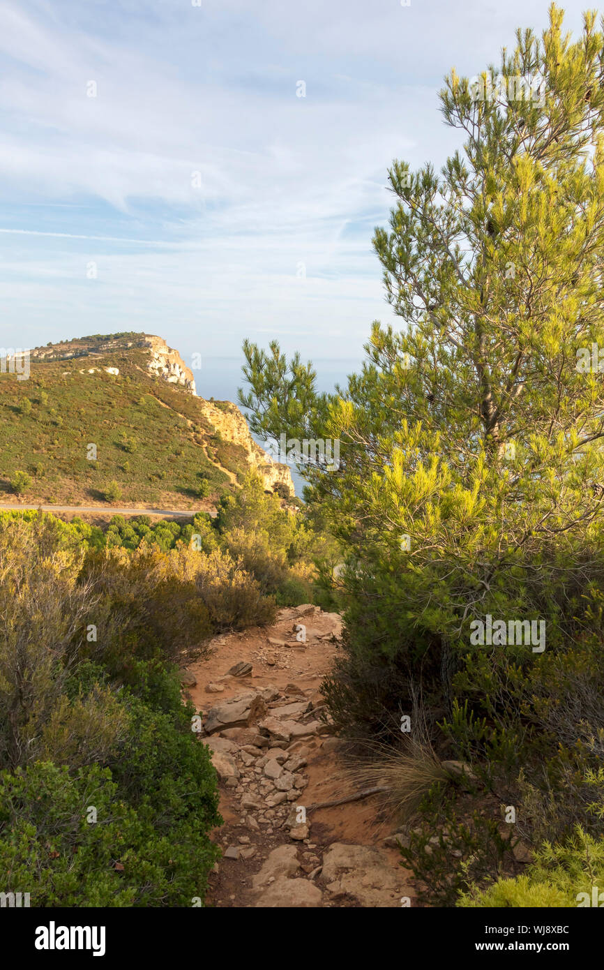 Cap Canaille höchste Steilklippe von Frankreich, ockerfarbenen Sandstein Landspitze auf der Mittelmeer Küste zwischen den Städten Cassis und La Ciotat Stockfoto