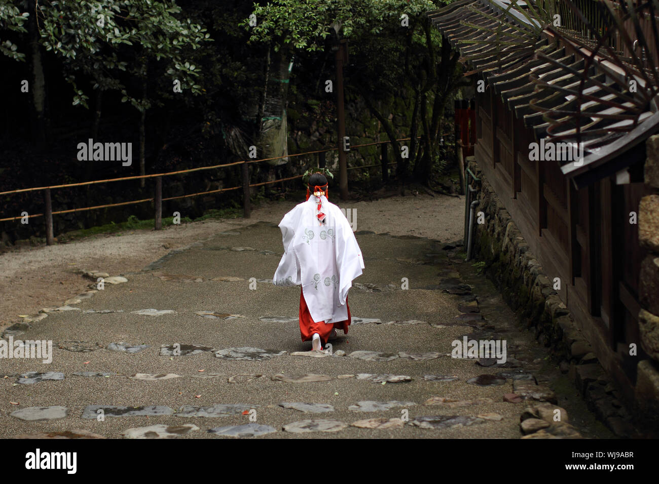 Miko - shinto Priesterin zu Fuß die Treppe des alten Schrein in Kyoto (Kamigamo Jinja) Stockfoto