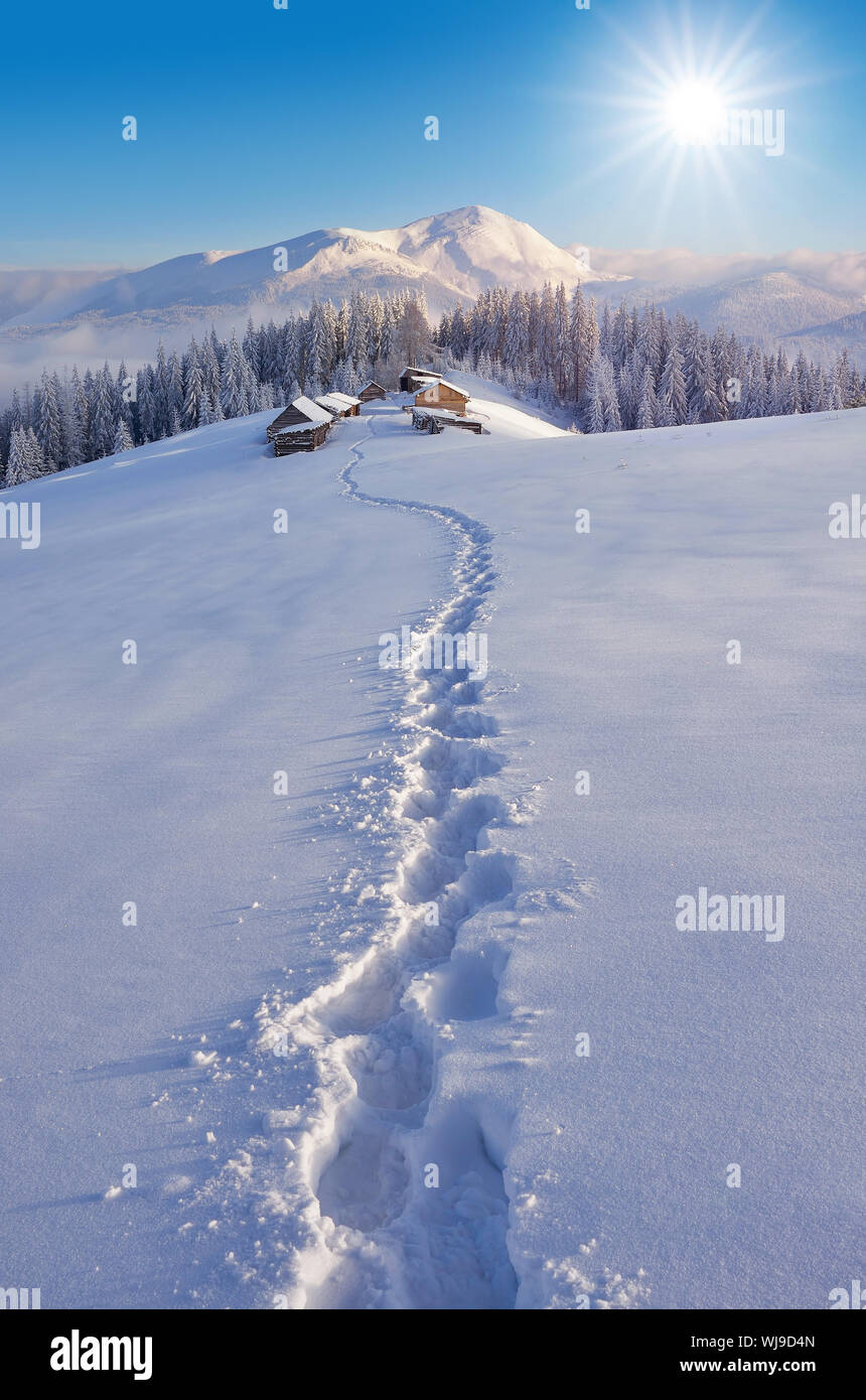 Trail auf den Hütten. Winterlandschaft in einer fabelhaften Lage. Weihnachten anzeigen Stockfoto