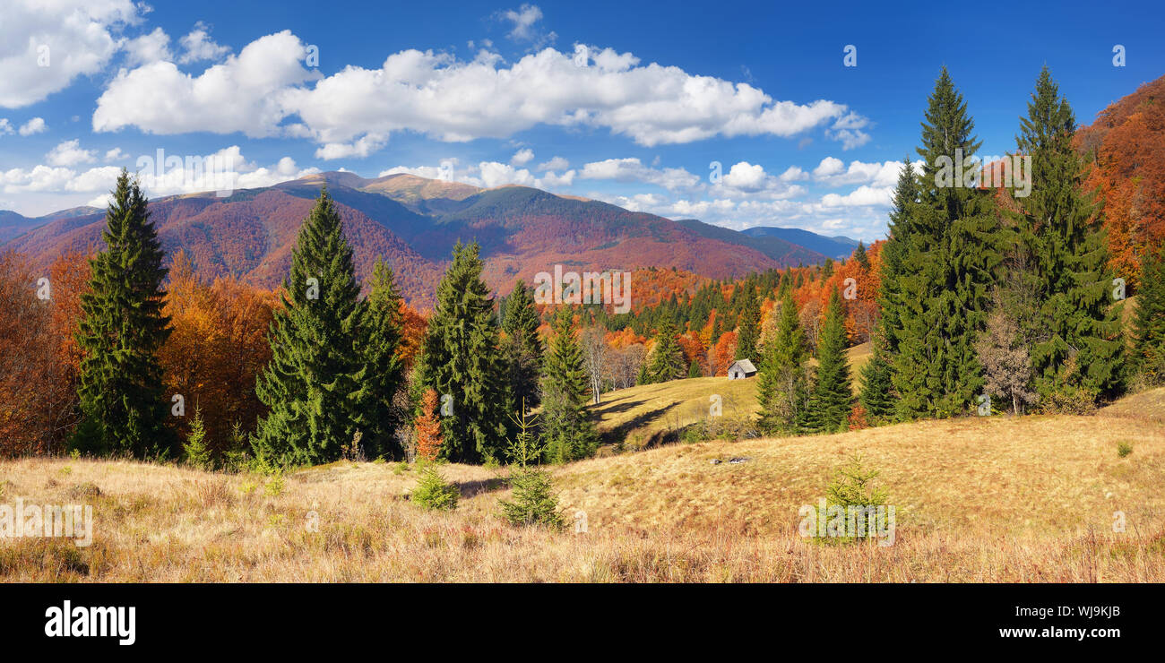 Herbst Landschaft in den Bergen. Sonnigen Tag. Ferienhaus aus Holz in einem Bergwald. Karpaten, Ukraine, Europa Stockfoto