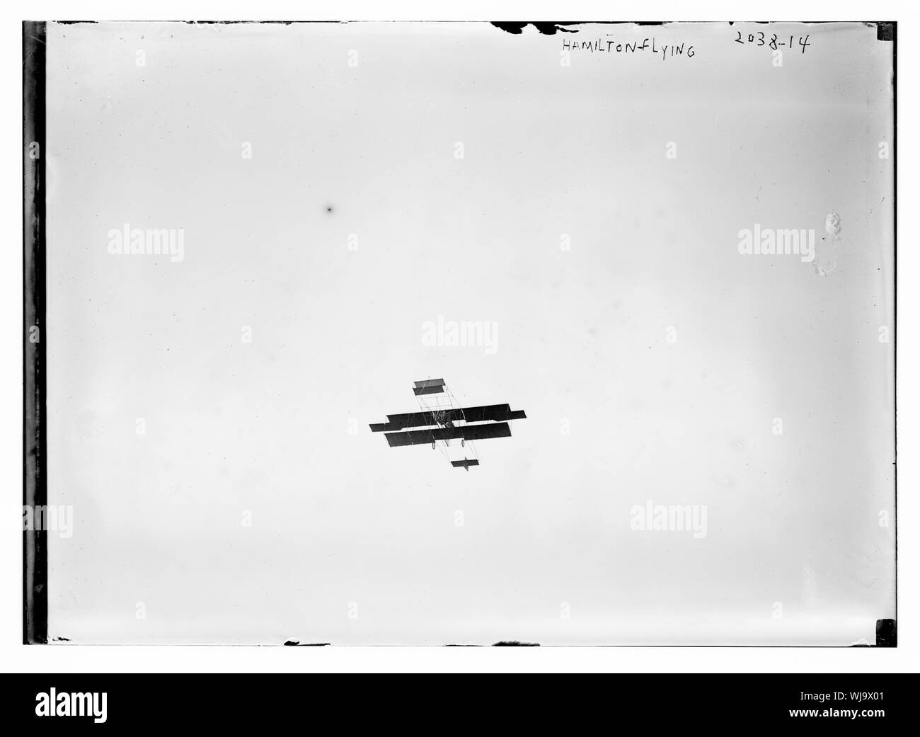 Hamilton fliegen Stockfoto