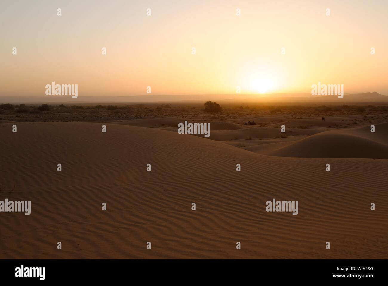 Sahara-Sand-Dünen von Erg Chebbi, Marokko, Afrika Stockfoto