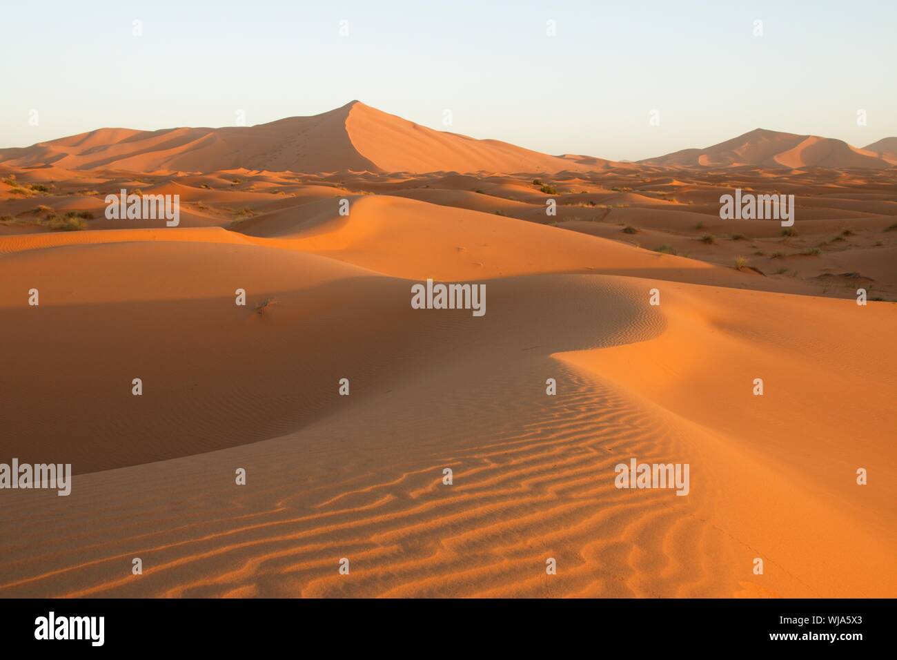 Sahara-Sand-Dünen von Erg Chebbi, Marokko, Afrika Stockfoto