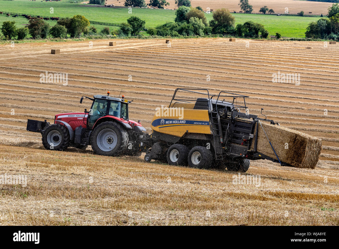 Heu pressen - Landmaschinen verwendet einen Schnitt zu komprimieren und Geharkt Erntegut (z.b. Stroh, Baumwolle, Flachs, Stroh, Salt Marsh Heu oder Silage) in kompakten Ballen, Stockfoto