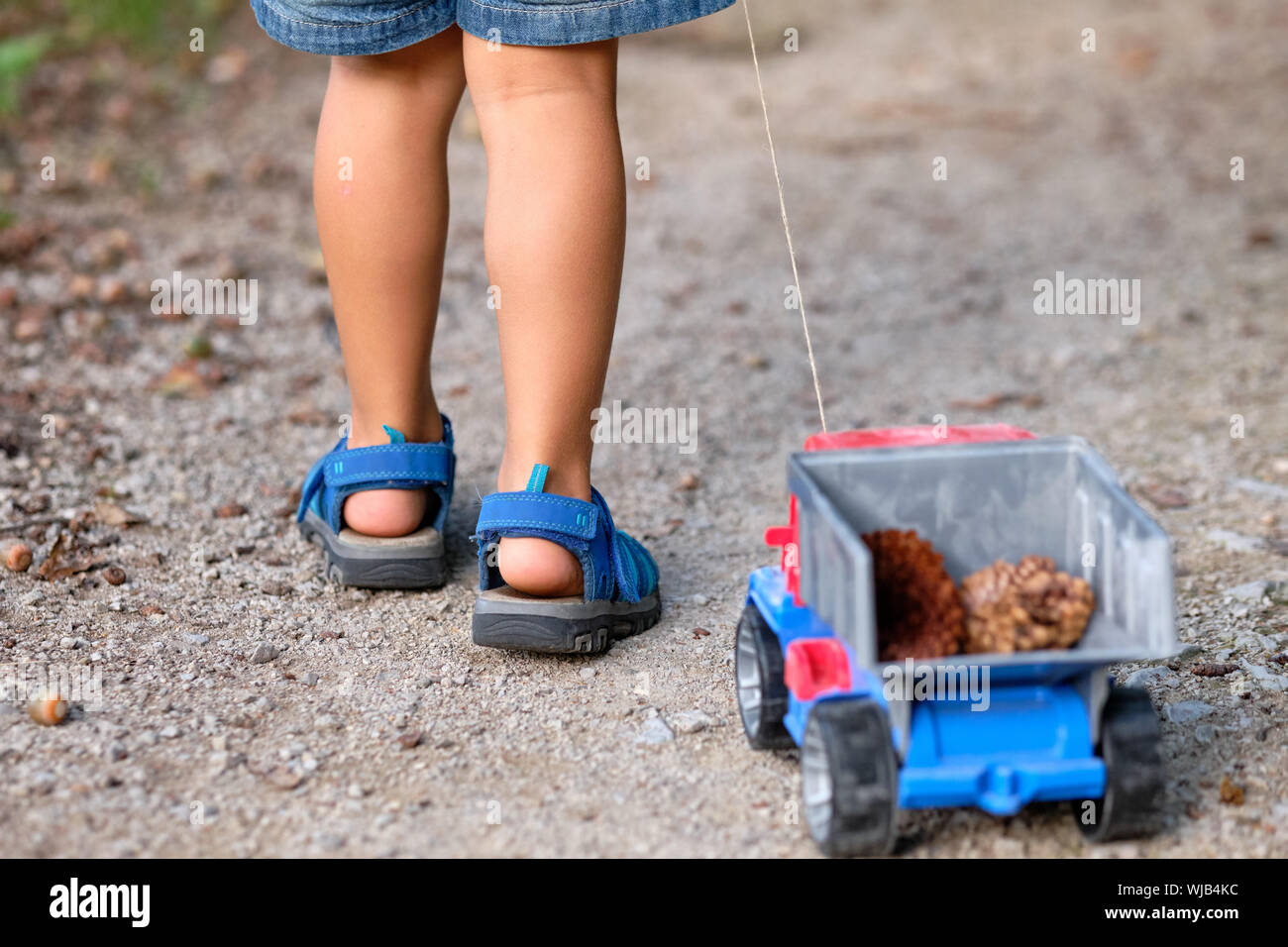 Rückansicht des unteren Abschnitt von einem 3-4 jährigen Kind in kurzen Hosen im Sommer Ziehen einer Spielzeug-LKW mit Kegel in Es Stockfoto