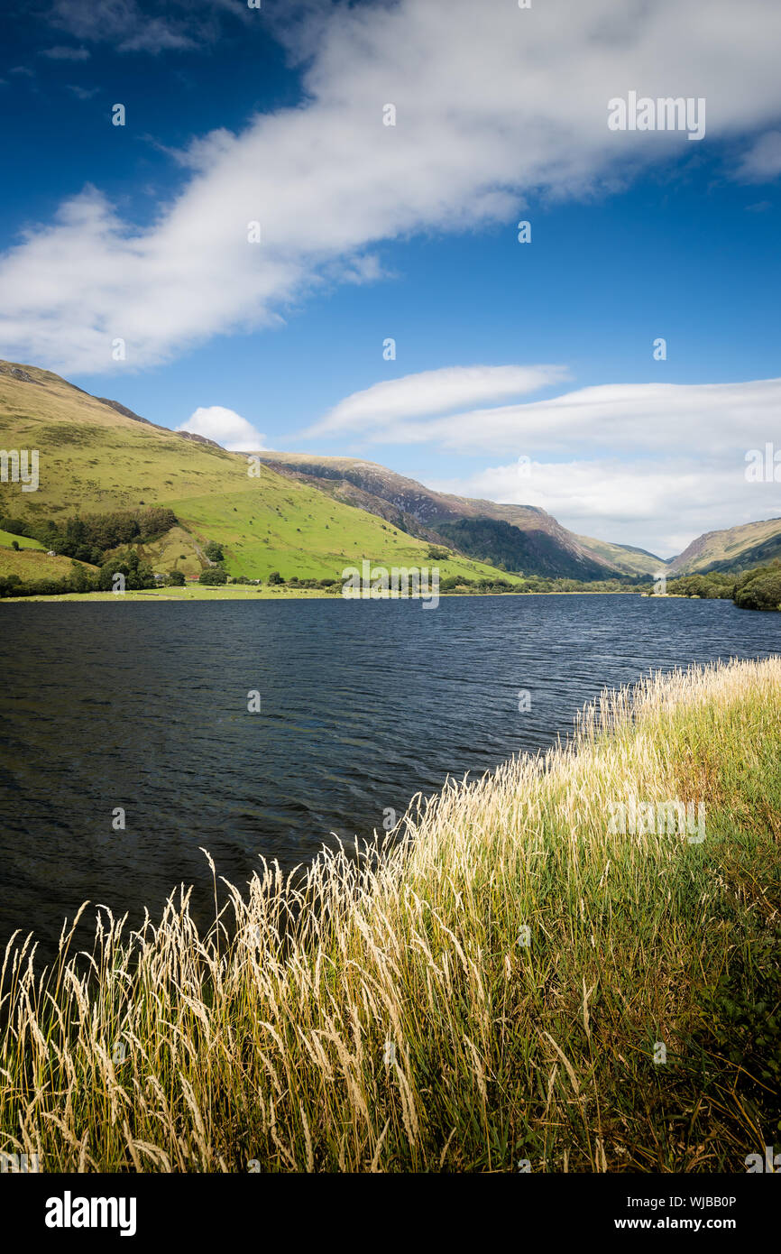 Tal-y-llyn See, Wales Stockfoto