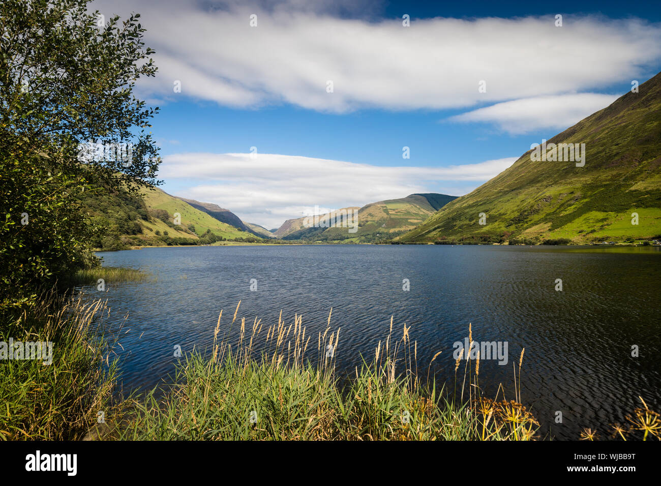 Tal-y-llyn See, Wales Stockfoto
