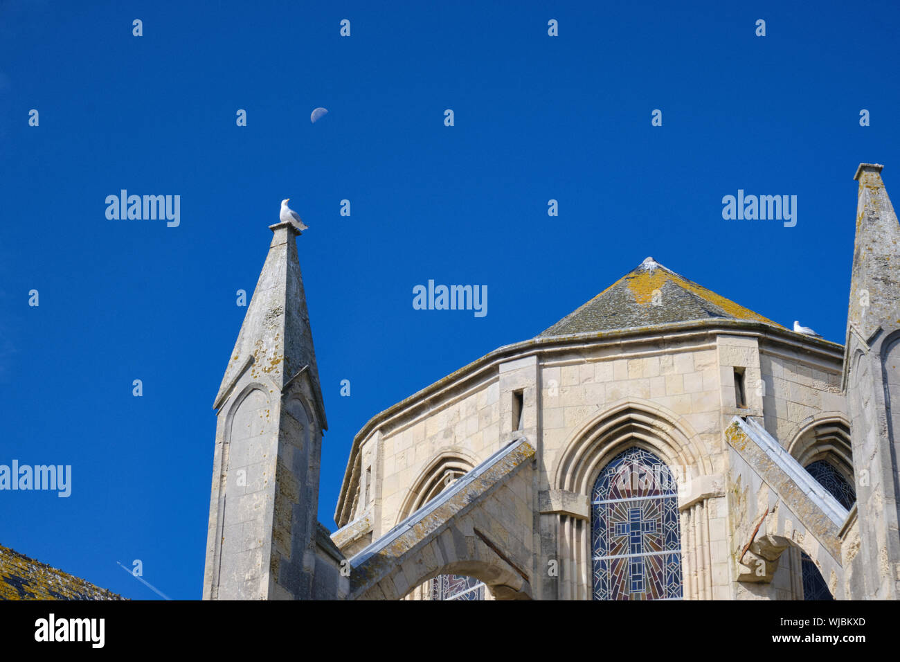 Möwe auf dem Kirchturm von St. Vaast-la-Hougue Kirche mit einem halben Mond im Himmel. Stockfoto