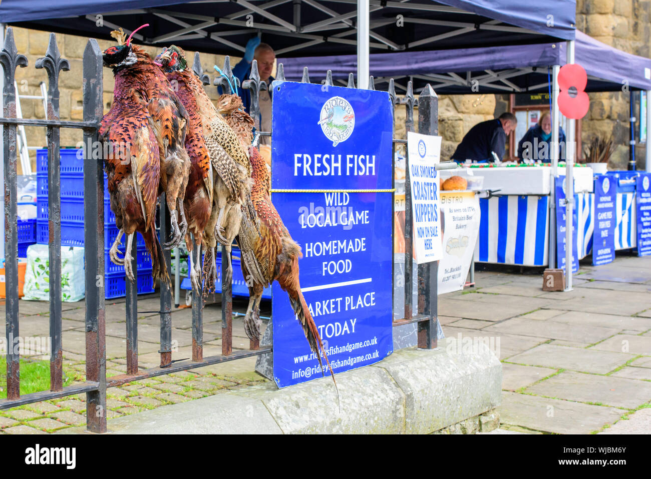 Lokale Fasane für Verkauf in Hexham Bauernmarkt, Northumberland, England, Großbritannien, das zweimal im Monat stattfindet. Stockfoto