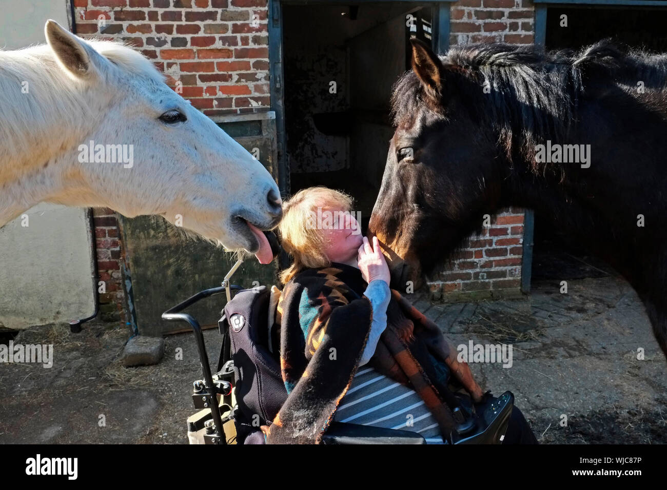 Behinderter Pferdeliebhaber mit zwei Pferden, die sie lieben. Stockfoto