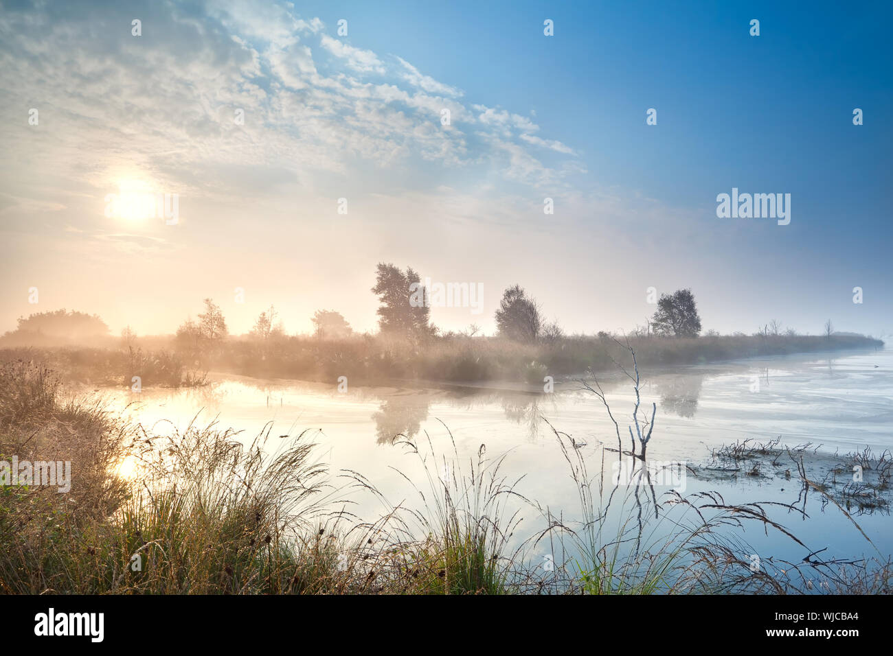 Misty Sonnenaufgang über Wasser im Moor, Fochteloerveen, Niederlande Stockfoto