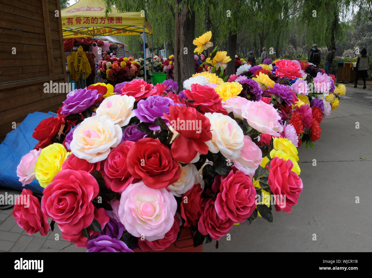 Cut Peony Blumen sind in Luoyang nationalen Päonien Garten, einer der ältesten Gärten zu wachsen und Pfingstrose Blüte in China reproduzieren angeordnet. Es gibt Ove Stockfoto