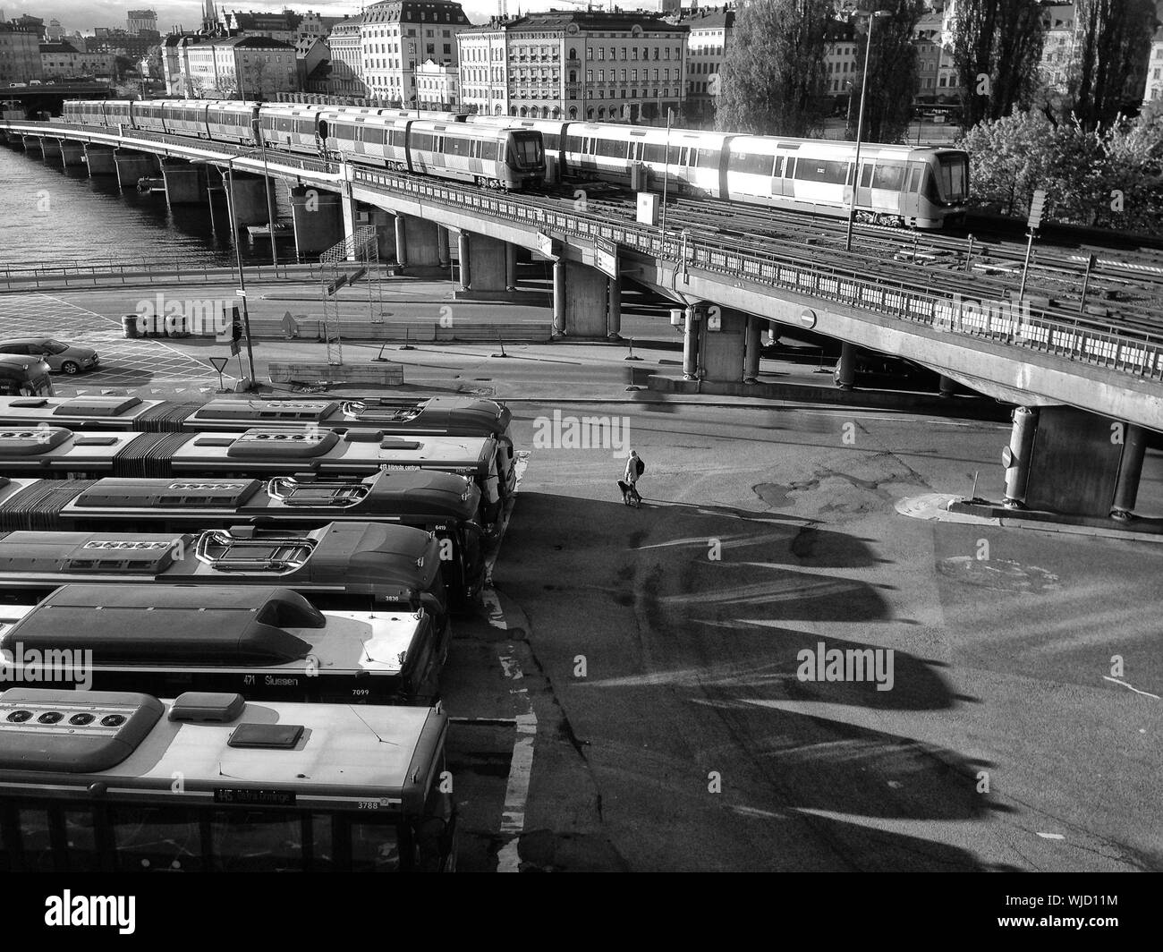 Busse auf der Straße durch Züge an der Eisenbahnbrücke in Stadt Stockfoto