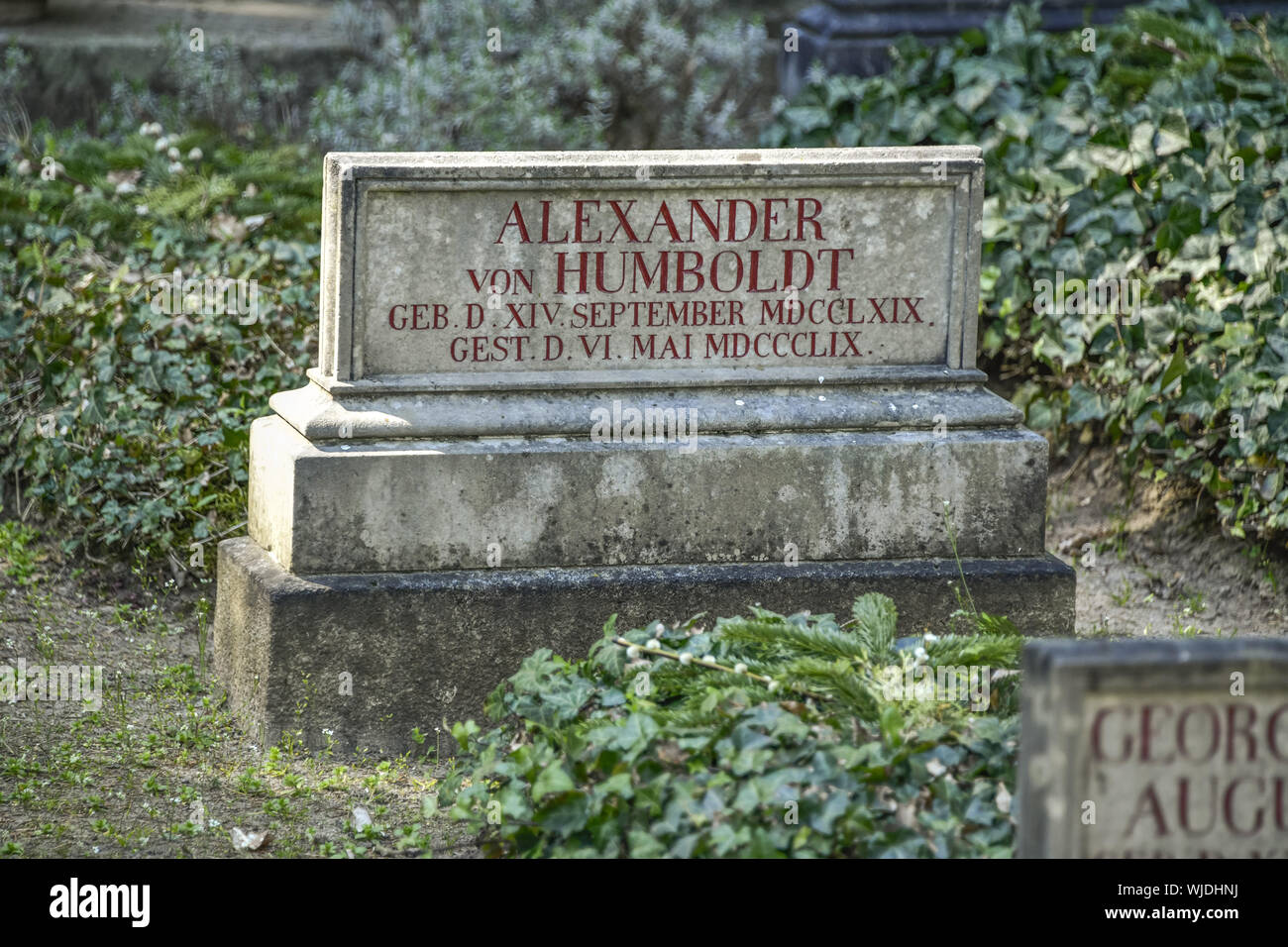 Alexander von Humboldt, Bury, Berlin, Deutschland, Friedhof, Grab, Grab Anordnung, grave Anordnung Humboldt, Grabstein, Grün, Grün ar Stockfoto