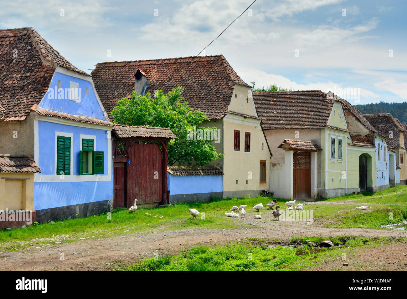 Sächsische Häuser in Viscri, einem UNESCO-Weltkulturerbe. Brasov County, Siebenbürgen. Rumänien Stockfoto