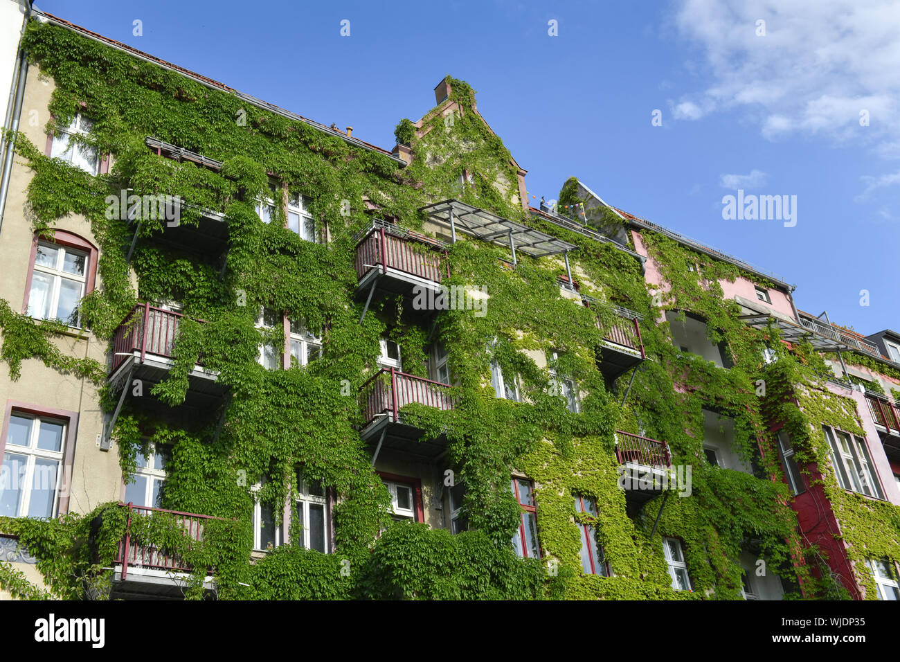 Alte Gebäude, alte Gebäude Fassade, in einem alten Gebäude, Architektur, Außen, Draußen, Draußen, Außen, Berlin, Deutschland, Fassade Stockfoto