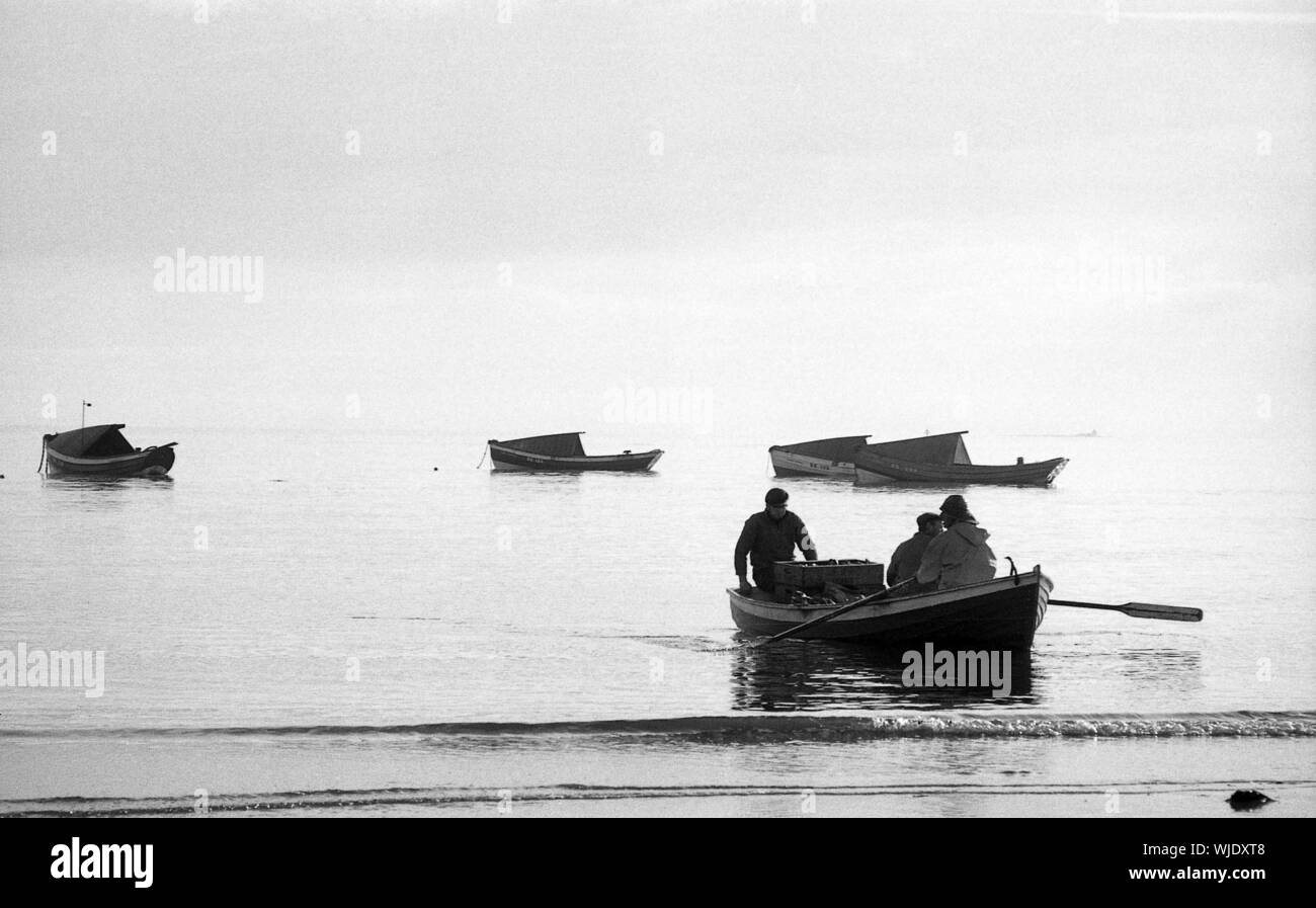 Fischer fangen von cobles zum Strand bei Sonnenaufgang, Boulmer, c 1973 Stockfoto