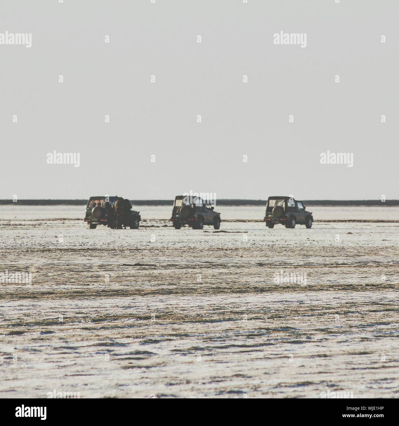 Jeeps auf Wüste gegen Himmel geparkt Stockfoto