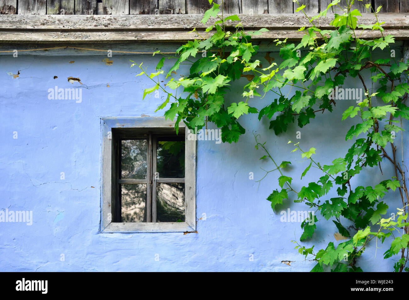 Fenster von einem traditionellen Bauernhaus von Sebesu de Jos, Sibiu County. ASTRA Museum der traditionellen Folk Zivilisation, ein Freilichtmuseum außerhalb Sibiu, Tra Stockfoto