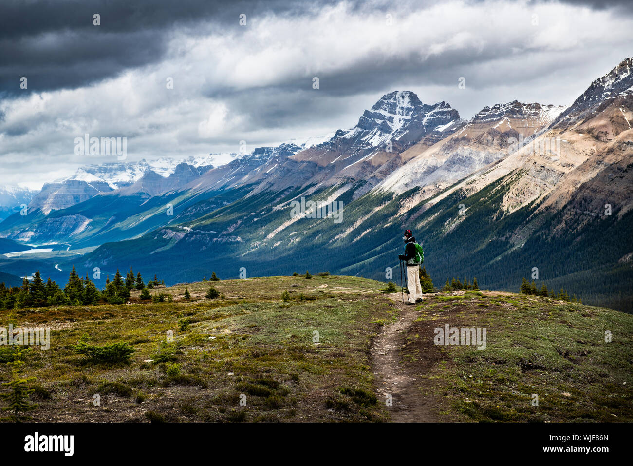Frau wandern eine Spur der Kanadischen Rocky Mountains im Banff National Park, Alberta, Kanada Stockfoto