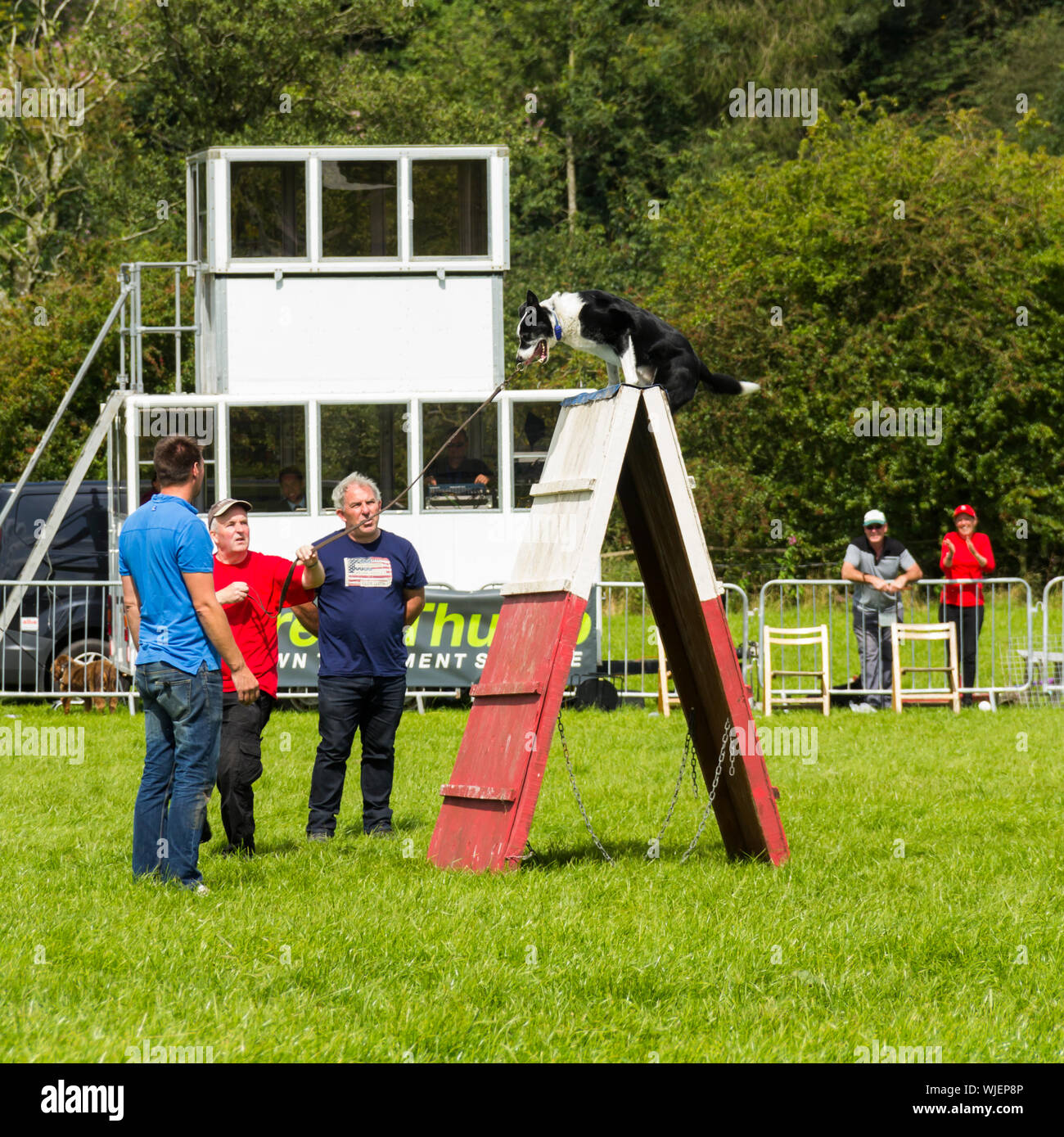 Border Collie Hund und Hundeführer, die sich mit einer steilen Wand Hindernis beim Teil in einem Hund Agilität im Royal Lancashire Show 2017. Stockfoto