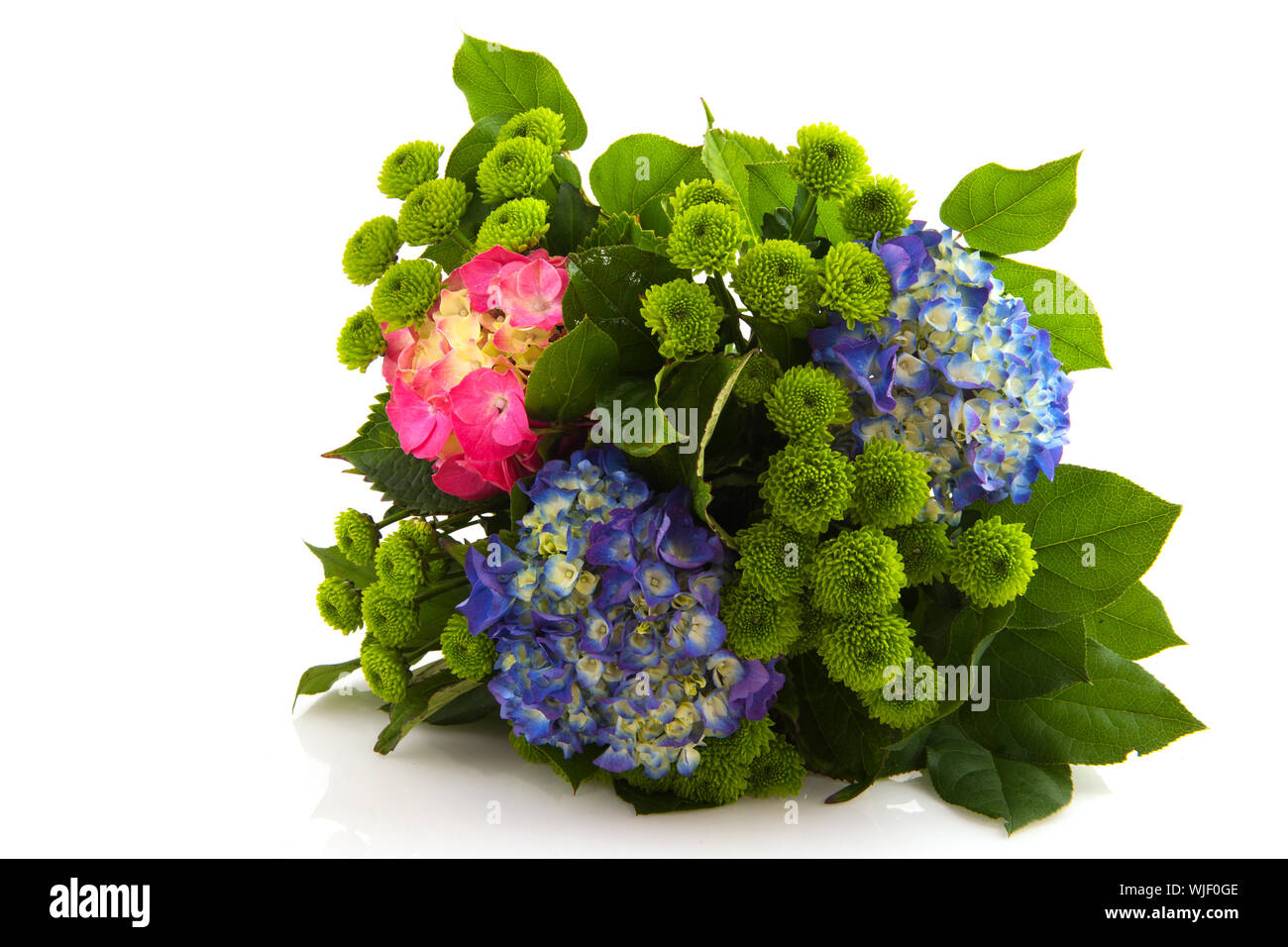 Blumenstrauß mit Hortensien und Chrysanthemen Stockfotografie