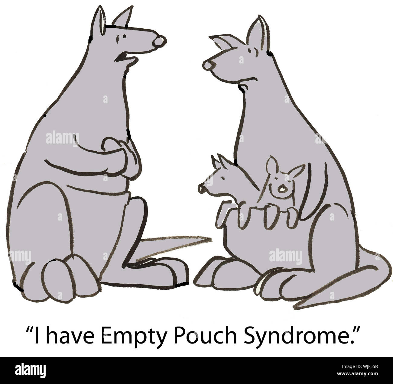 Känguru-Mütter Stockfoto