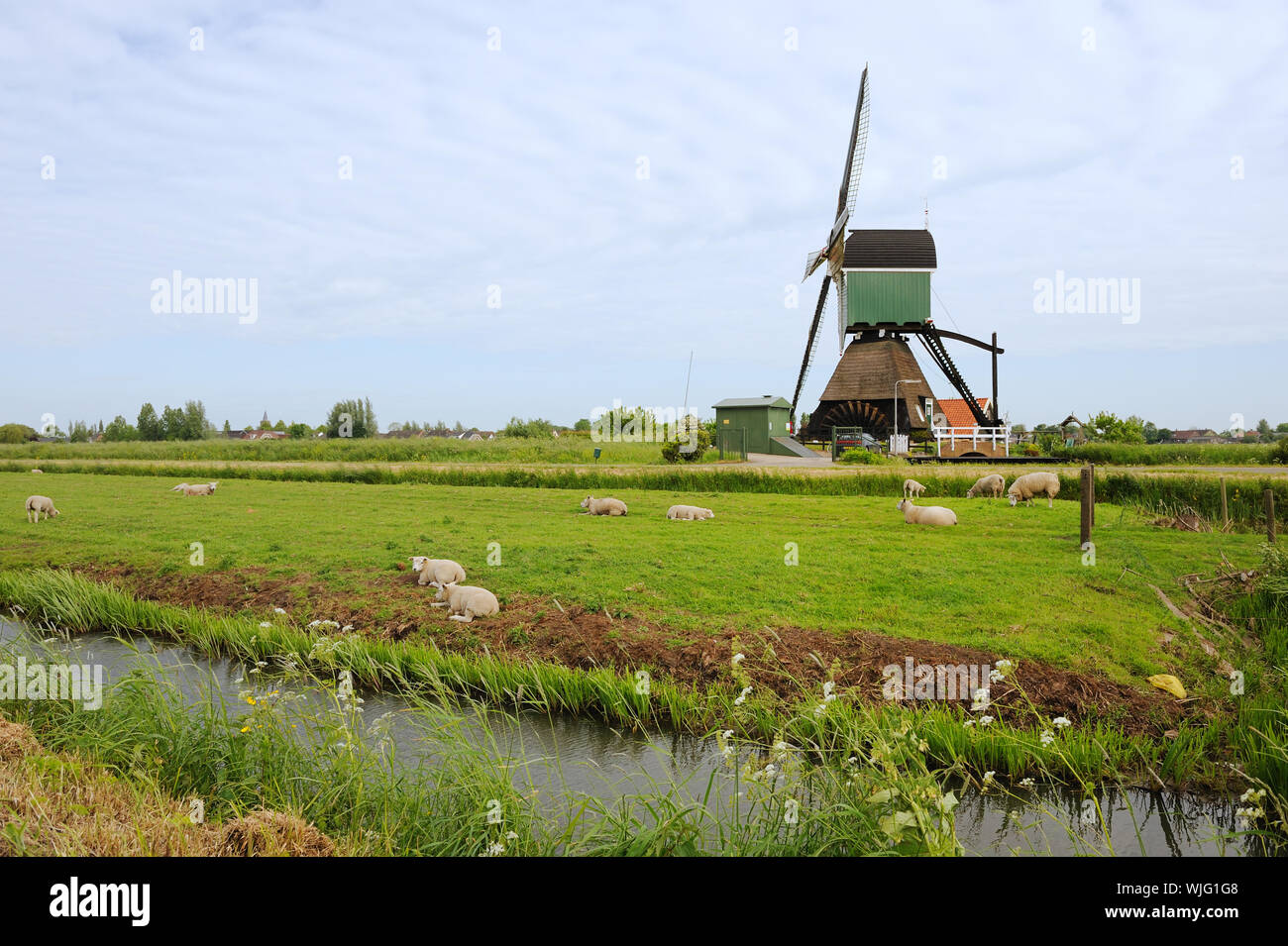 Windmühle in Holland Noordeloos Stockfoto
