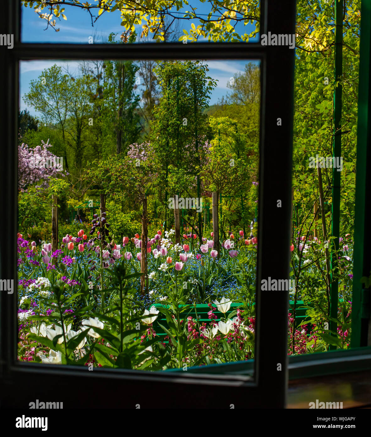 Claude Monets Garten in Giverny, Normandie, durch das Fenster seines Hauses betrachtet Stockfoto