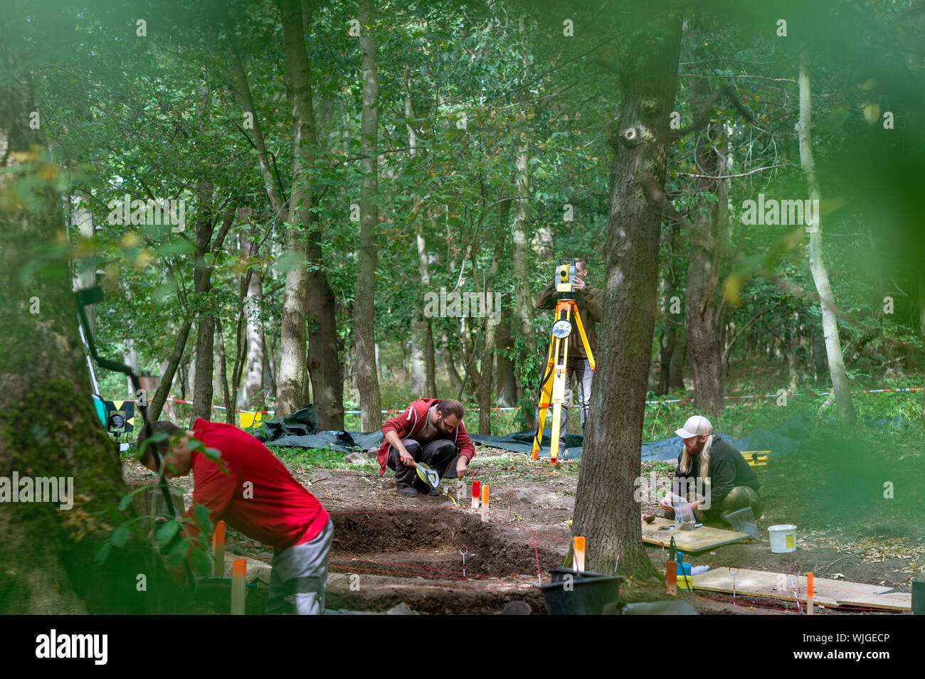 03 September 2019, Sachsen-Anhalt, Güntersberge: Archäologie Studenten suchen bei der ausgrabungsstätte "Wüstung Anhalt' für bleibt der verschwundenen Dorf. Die Siedlung bedeckt etwa 11 Hektar und wurde zwischen dem 11. und dem 12. Jahrhundert gegründet. Das Dorf verlassen wurde bereits im 15. Jahrhundert. Das Dorf ist eine von ungefähr 100 im Harz, die während des Mittelalters verschwunden und sind nun verlassenen Gebieten genannt. Die Ausgrabungen sind wichtig, weil es kaum haben systematische Untersuchungen im östlichen Harz so weit gewesen. Foto: Klaus-Dietmar Gabbert/dpa-Zentralbild/ZB Stockfoto