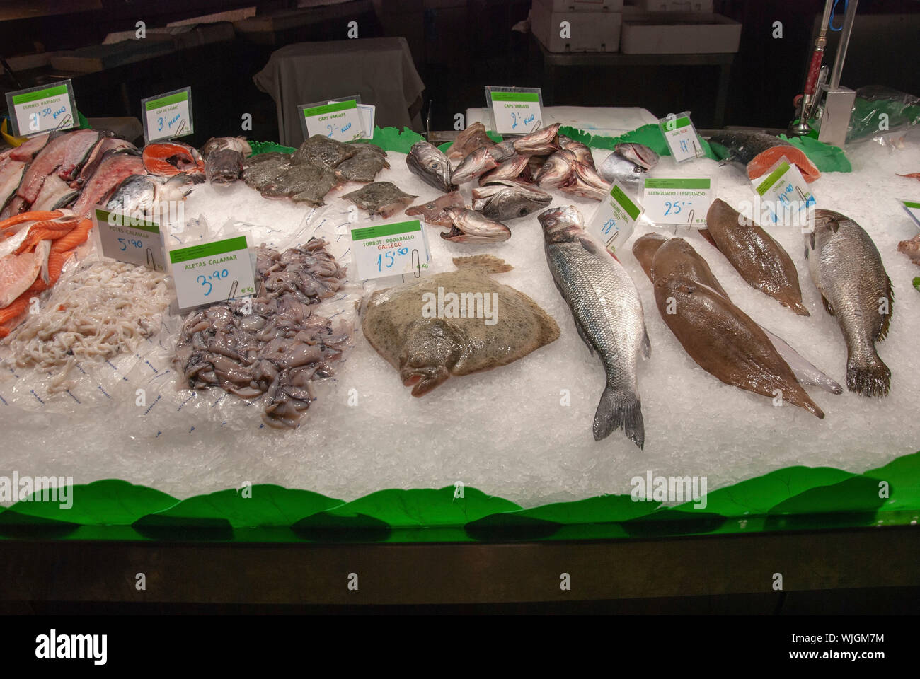 Verschiedene frische Fische angezeigt auf einem Bett aus Eis Tintenfisch  Wolfsbarsch Steinbutt lachs Sohle corbina verschiedene Fischköpfe für  Verkauf auf Anzeige crushed Eis Fisch Stockfotografie - Alamy
