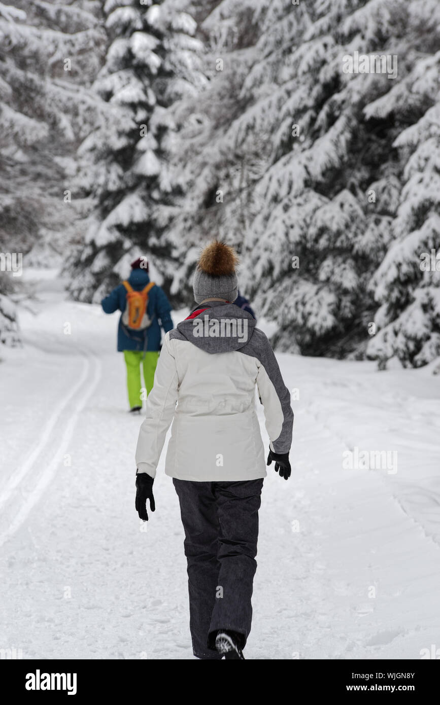 Ansicht der Rückseite des Junge Frau wandern im Winter Forest. Torfhaus im Harz National Park, Deutschland Stockfoto