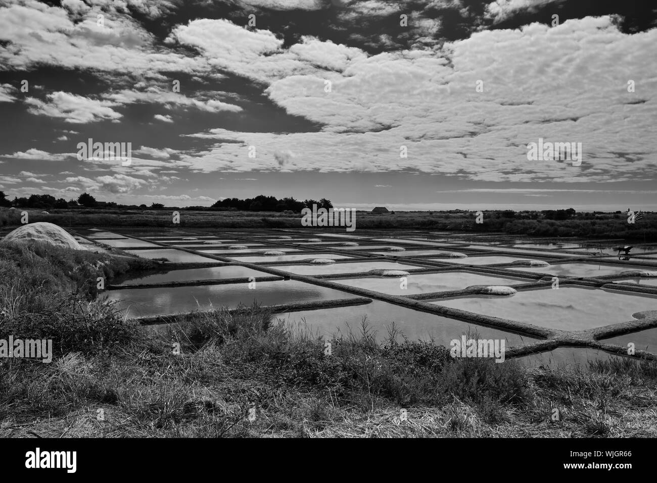 Die Salt Flats in Piriac-sur-Mer Vendée Pays de la Loire Stockfoto