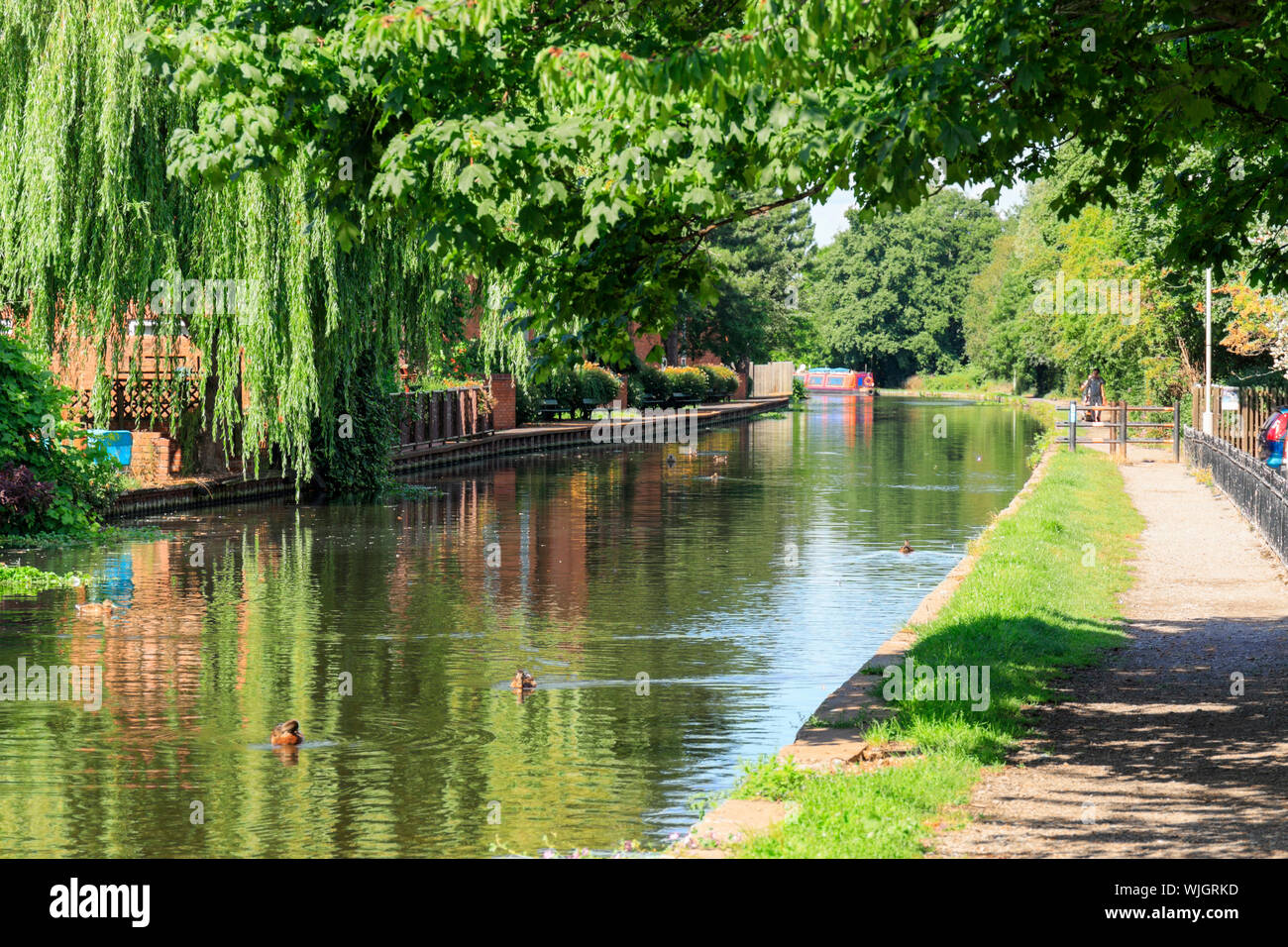 Leinpfad entlang des Grand Union Canal (Leicester Abschnitt - Loughborough Zweig) durch Loughborough, Leicestershire, England, Großbritannien Stockfoto