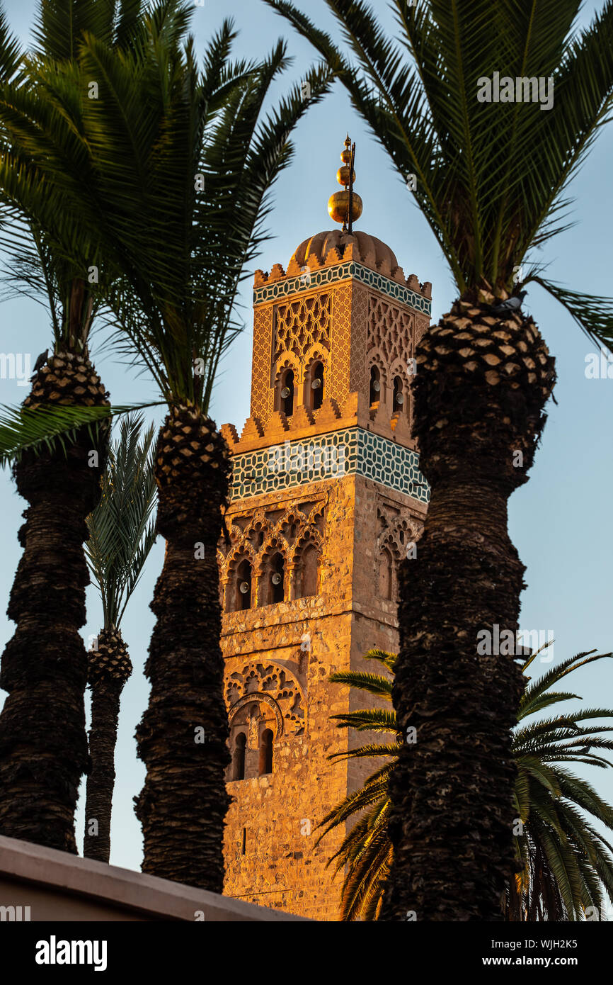 Turm der Koutoubia Moschee mit Palme Stockfoto