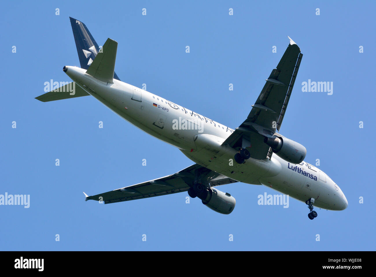 Lufthansa (ist die größte deutsche Fluggesellschaft), Airbus A320 - Star  Alliance Flugzeug Stockfotografie - Alamy